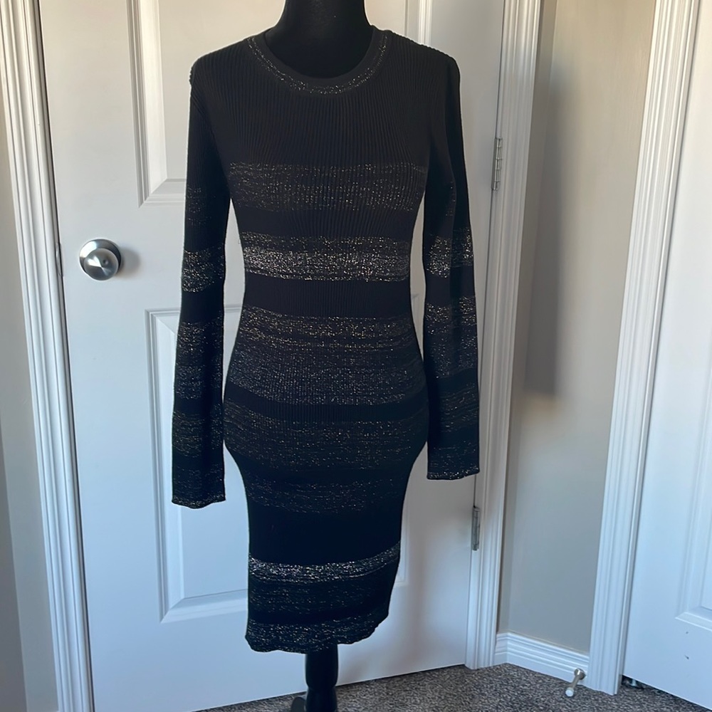 BNWT John and Jenn Bodycon dress